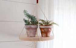 DIY Plant Hanger