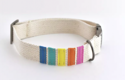 DIY Adjustable Dog Collar