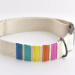 DIY Adjustable Dog Collar