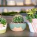 Beautiful DIY Painted Pots